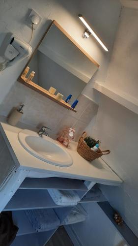 ein Bad mit einem Waschbecken und einem Spiegel in der Unterkunft Le nid'Ange in Torcy