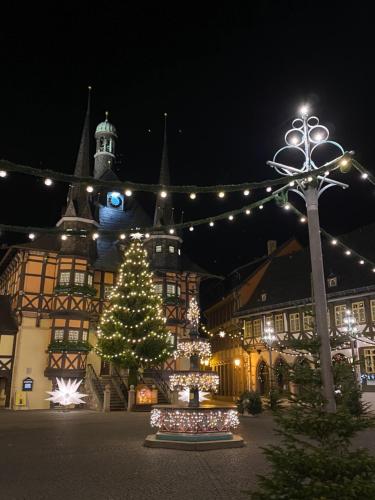 a christmas tree in front of a building with lights at Ferienhaus Anno 1599 in Wernigerode