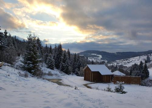 a small cabin in the snow on a mountain at Над фермою in Nizhne-Studënyy