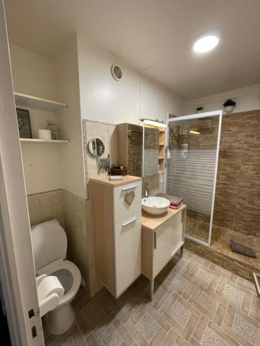 y baño con aseo, lavabo y ducha. en appartement atypique en duplex en Palavas-les-Flots