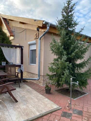 a christmas tree on a patio next to a house at Mandi apartman in Veresegyház