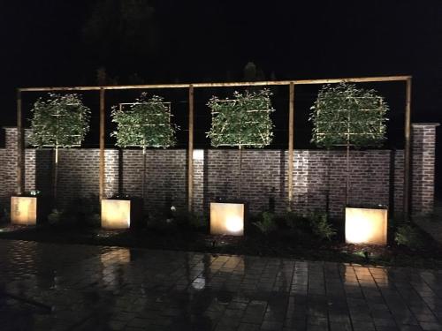 B&B Punto Vélo في زوتيندال: جدار عليه اشجار مضاءة في الليل