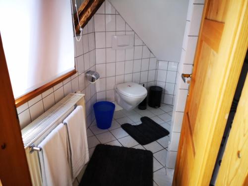 un piccolo bagno con servizi igienici e lavandino di charmante Pension zentral a Reutlingen