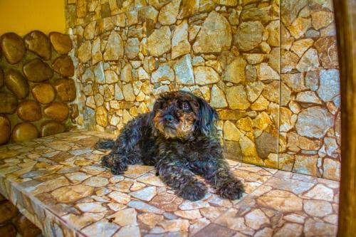 a dog laying on the floor in a stone wall at Refúgio das Fadas in Pipa
