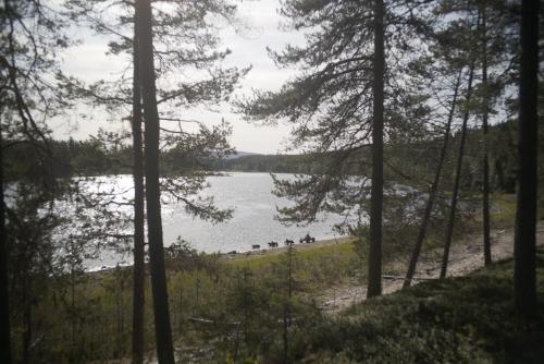 a view of a lake through the trees at Lapland Stuga & Tours in Rentjärn