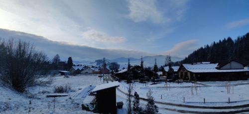 a village covered in snow with houses and trees at Вудхарт2 in Yasinya