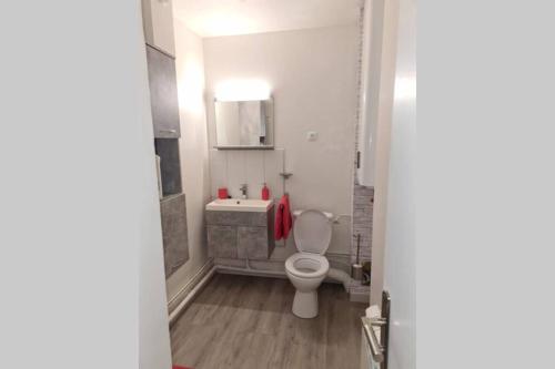 une salle de bain avec toilettes et lavabo dans l'établissement Appartement charmant au pied des thermes, à Amélie-les-Bains-Palalda