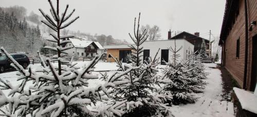 a yard covered in snow with trees and houses at Вудхарт2 in Yasinya