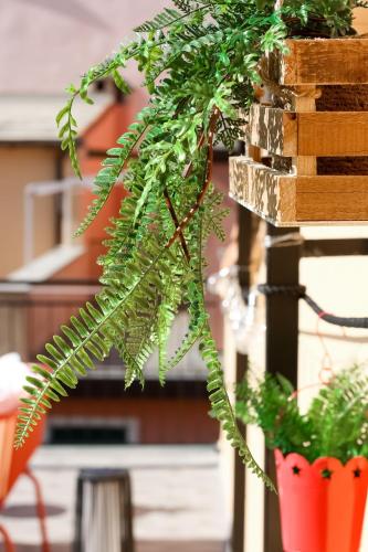 Cà Vivaldi penthouse 5terreparcoにある庭