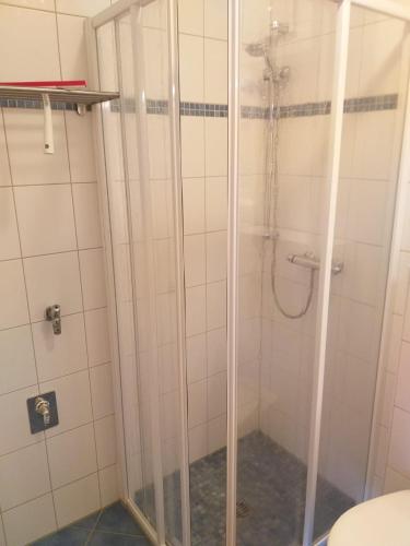 a shower with a glass door in a bathroom at Die kleine Kajüte in Ueckeritz