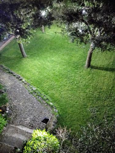 a field of green grass with trees in the background at affittacamere rezzo in Monte San Giacomo