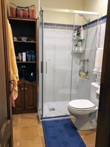 a bathroom with a shower and a toilet at Un Paraiso Junto al Mar in Bueu