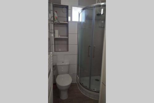 a bathroom with a glass shower and a toilet at Duplex 1 station tramway aéroport Paris-Orly in Athis-Mons
