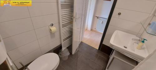 een badkamer met een wit toilet en een wastafel bij Apartment Urlaubstraum by FiS - Fun in Styria in Bad Mitterndorf