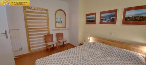 een slaapkamer met een bed en 2 stoelen. bij Apartment Urlaubstraum by FiS - Fun in Styria in Bad Mitterndorf