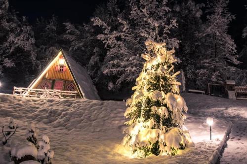 a snow covered christmas tree in front of a house at Etno Village Dolina Sreće in Vitez