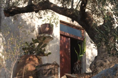 Φωτογραφία από το άλμπουμ του Tsikalaria Traditional Stone House στα Τσικαλαριά