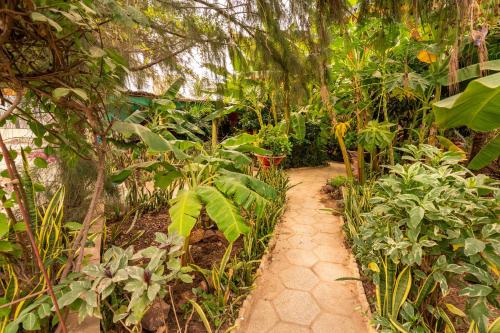 a path through a garden with many plants at Auberge Africa Thiossane in Saly Portudal