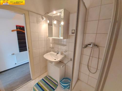 ein kleines Bad mit einem Waschbecken und einer Dusche in der Unterkunft Apartment Kammspitze by FiS - Fun in Styria in Bad Mitterndorf