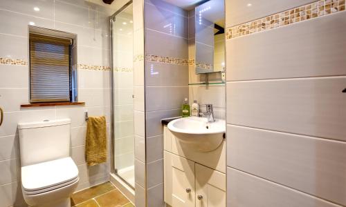 a bathroom with a toilet and a sink at Tipsy Gin Cottage in Crosthwaite