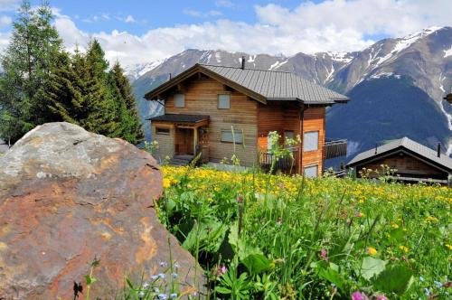 a wooden house in the mountains with a field of flowers at Aarninkhof in Bettmeralp