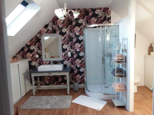 a bathroom with a shower and a sink and a mirror at Les chambres de Marie in Le Saint