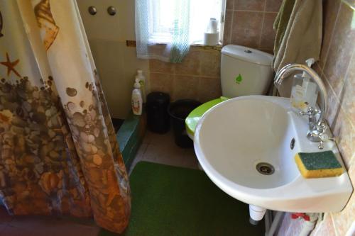 Bebru māja - Beaver house tesisinde bir banyo