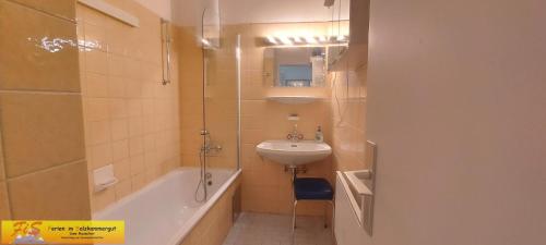 Kúpeľňa v ubytovaní Apartment Alpenpanorama by FiS - Fun in Styria