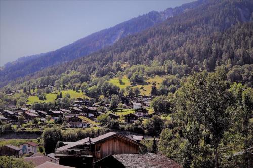 a village in front of a mountain with trees at Aleid Sunshine in Fiesch