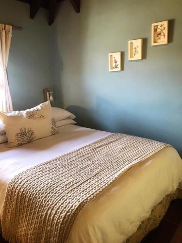 Lago Viedma B&B – Photos 3