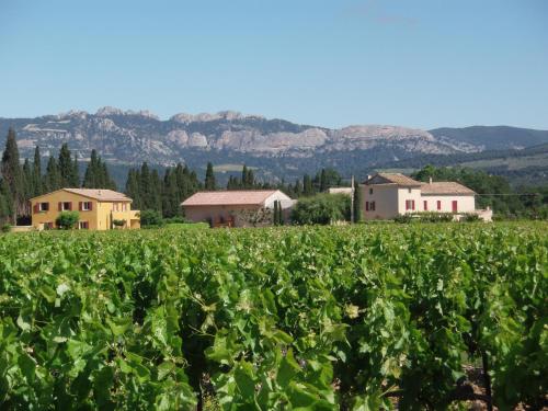 un campo di colture con case e montagne sullo sfondo di Gîte Les Vignes a Carpentras