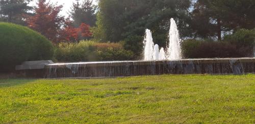 a fountain in the middle of a grass field at Casa Ramus Valle Camonica a 30 km dal Passo Tonale in Edolo