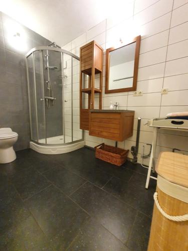 een badkamer met een douche, een wastafel en een spiegel bij Studio in rietgedekte boerderij, geheel privé, hond vriendelijk in Westerbork
