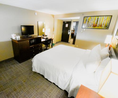a hotel room with a bed and a television at Canad Inns Destination Centre Polo Park in Winnipeg