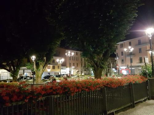 a row of flowers in a park at night at Casa Ramus Valle Camonica a 30 km dal Passo Tonale in Edolo