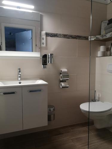 a bathroom with a sink and a toilet and a mirror at Pension Zur Alten Post in Havelberg