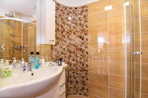 a bathroom with a sink and a shower at penzion Za lávkami in Dačice