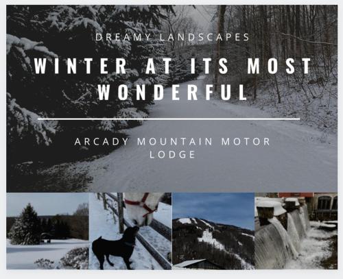 Το Arcady Mountain Motor Lodge τον χειμώνα