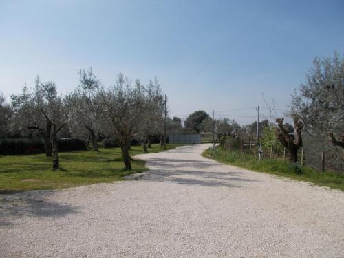 Gallery image of Casa Degli Ulivi in Tivoli