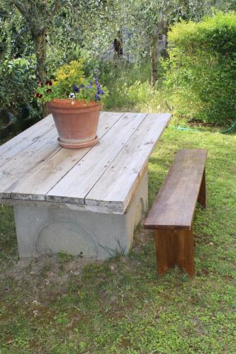 a wooden table with a potted plant and a bench at Alle Terme B&B in Rapolano Terme