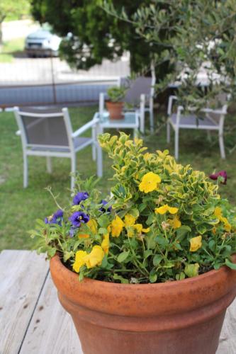 a pot of flowers sitting on a wooden table at Alle Terme B&B in Rapolano Terme