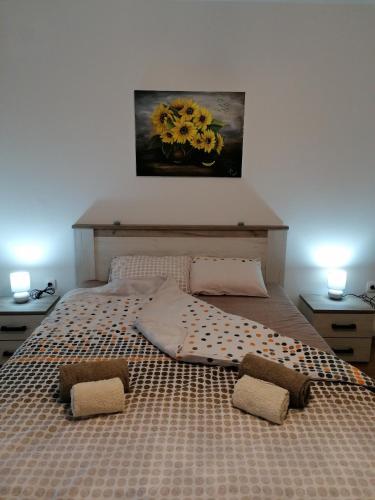 a large bed with two pillows on top of it at Apartman San in Vrnjačka Banja