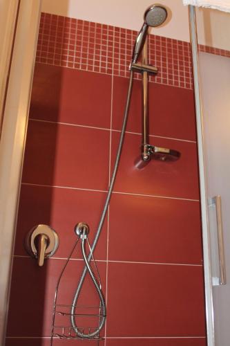 a shower in a bathroom with a red tile floor at Alle Terme B&B in Rapolano Terme