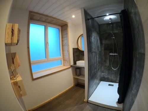 La salle de bains est pourvue d'une douche à l'italienne et d'une fenêtre. dans l'établissement Chez Léa et Lolo - L'Alpina, à Gérardmer