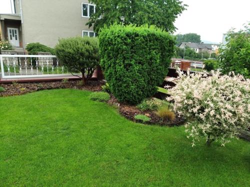 einen Garten mit grünem Gras und Sträuchern und ein Gebäude in der Unterkunft Apartment Krnov in Krnov