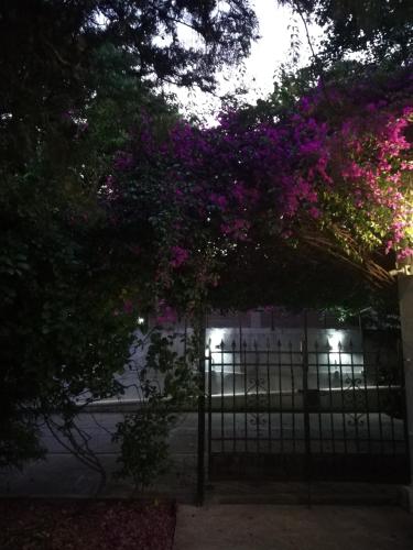 a gate with purple flowers on it with a fence at HOTEL Boutique Casablanca Adrogué in Adrogué