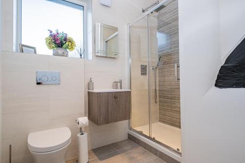 a bathroom with a toilet and a shower at 5 Central Chambers in Stratford-upon-Avon