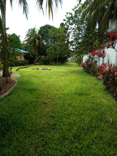 a yard with green grass and palm trees and a house at Safina Resort in Zanzibar City