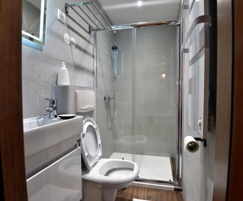 ein Bad mit einer Dusche, einem WC und einem Waschbecken in der Unterkunft Kopaonik konak Koznik in Kopaonik