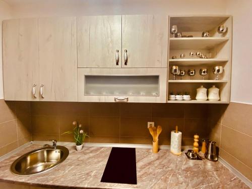 cocina con fregadero y encimera en Ana Luxury Apartment **** en Nova Varoš